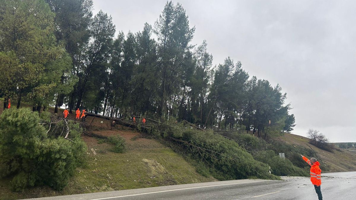 Operarios en la A-318 en Puente Genil.