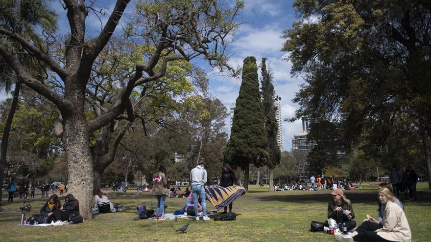 El cambio climático amenaza la supervivencia de los árboles urbanos en todo el mundo