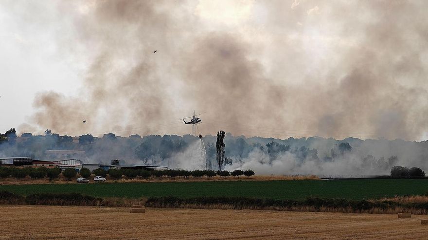 Un incendio se declaró este martes en el municipio toledano de Calera y Chozas, en la comarca de Talavera de la Reina, en una zona de arbolado cercana a una finca de ganado.