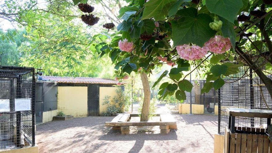 Finca El Galeón, en Santa Brígida