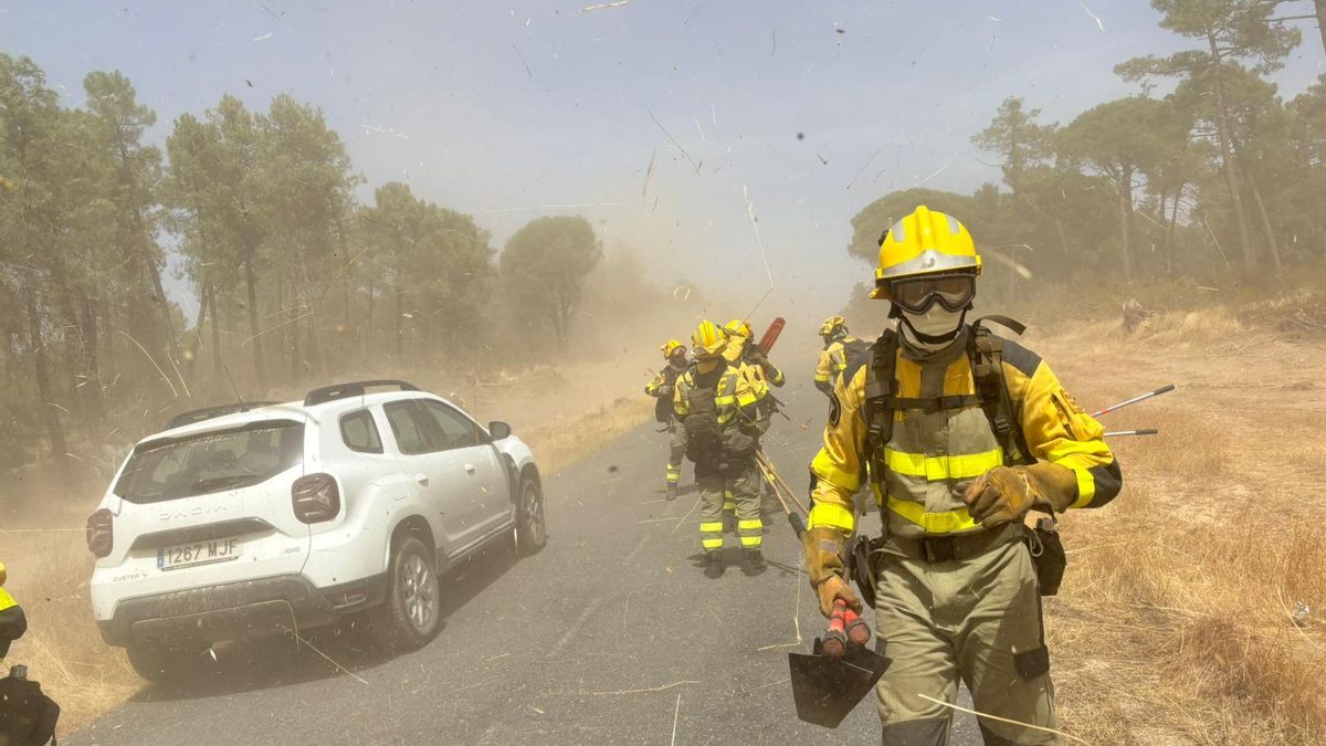 Imagen de unos bomberos forestales en una actuación contra incendios.