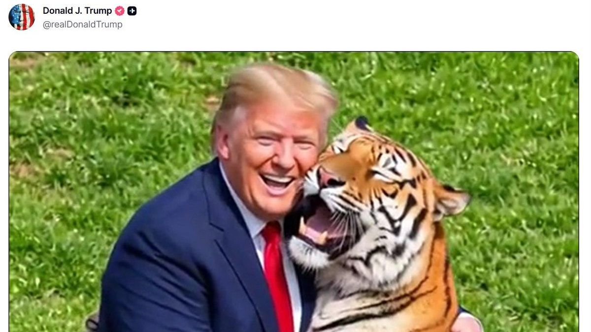 Trump publica un vídeo del ataque mortal de un tigre a un joven británico pese a que la familia del fallecido pidió no compartirlo