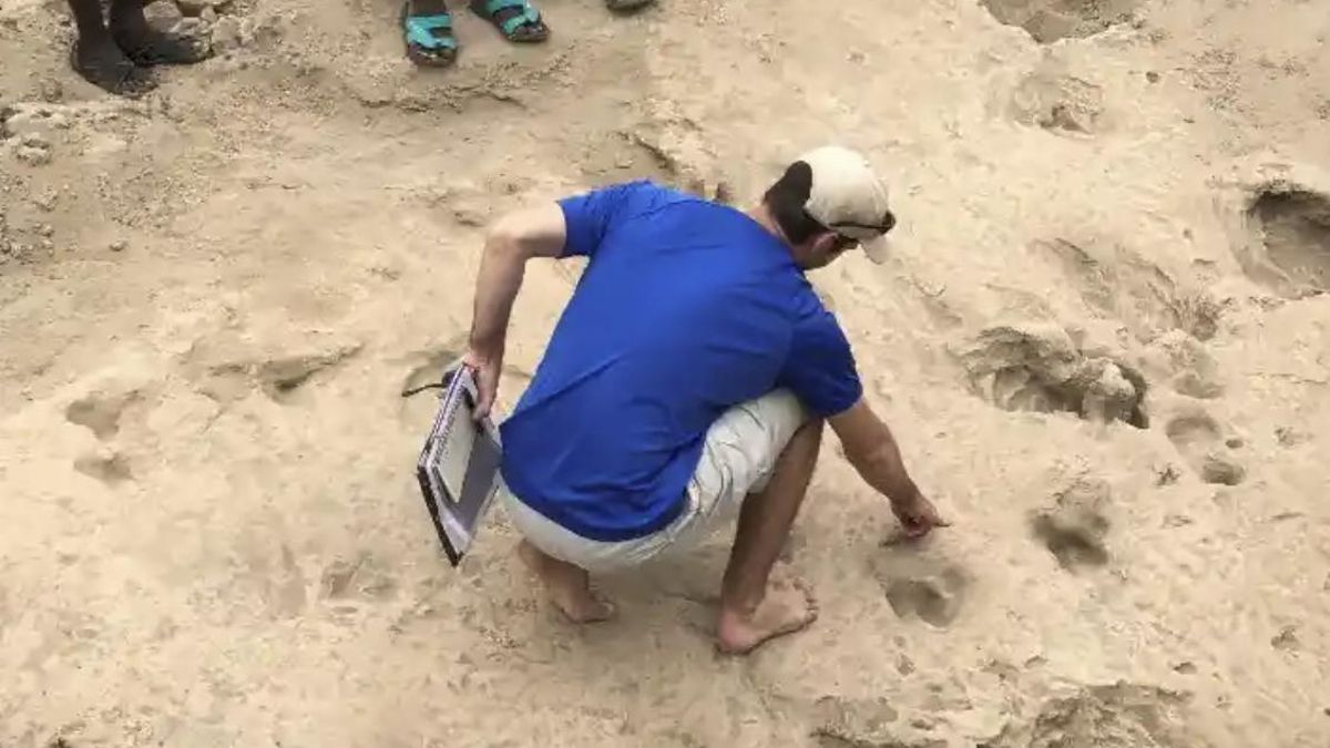 El rastro hallado en Kenia cambia la historia: un antiguo pariente humano pudo ser mucho más grande de lo pensado