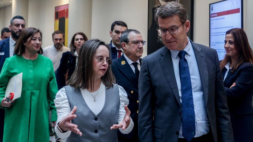 El líder del PP, Alberto Núñez Feijóo, llega al pleno extraordinario del Congreso de los Diputados.