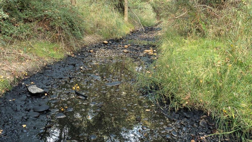 Fango negro en el río Cinca: Ecologistas en Acción denuncia un vertido que ha causado "severos daños al ecosistema"