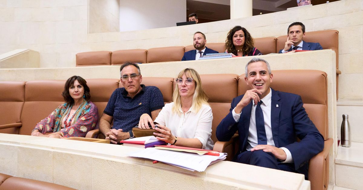 Gómez de Diego afirma que le hubiera gustado "una voz única" desde el