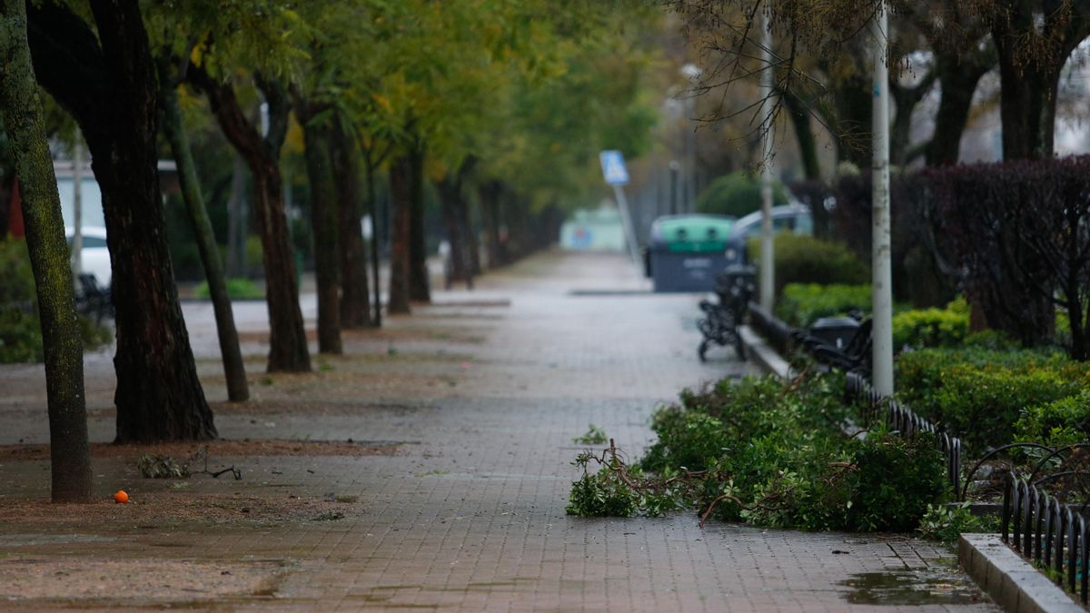 Una borrasca a su paso por Córdoba