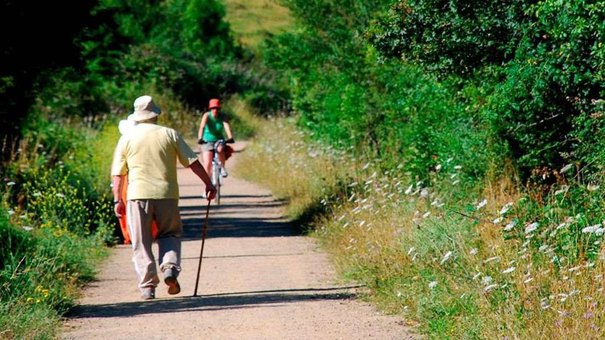 Vía Verde del Río Oja.