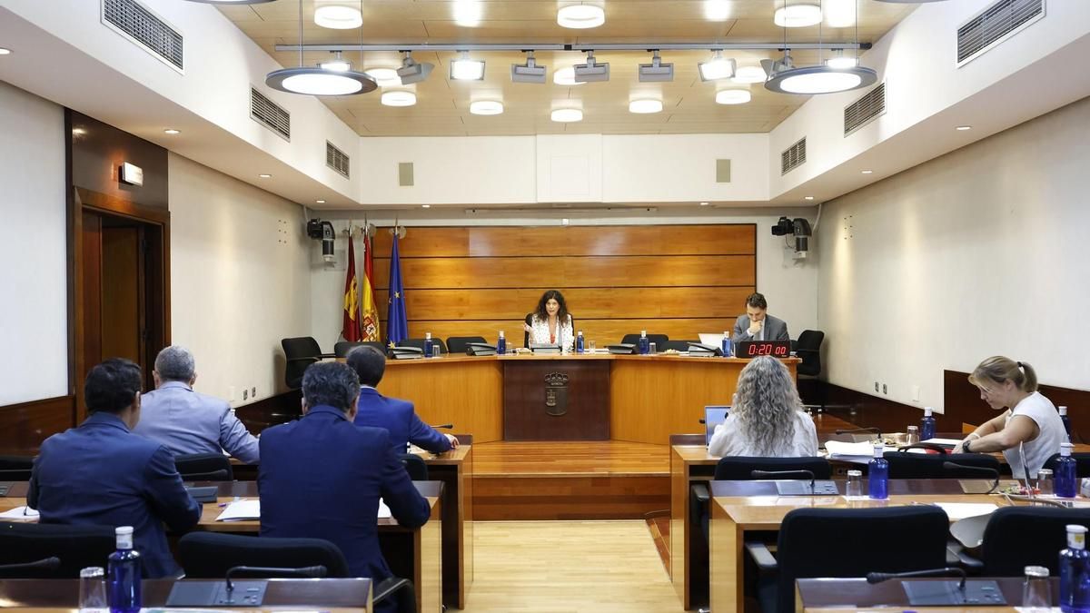 Vox rechaza normas que "por la puerta de atrás" prohíban a los menores asistir a las corridas de toros