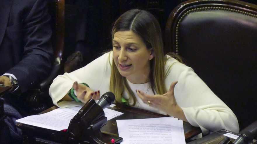 Dos diputadas del PRO votaron a favor de repudiar los dichos de un funcionario de Milei