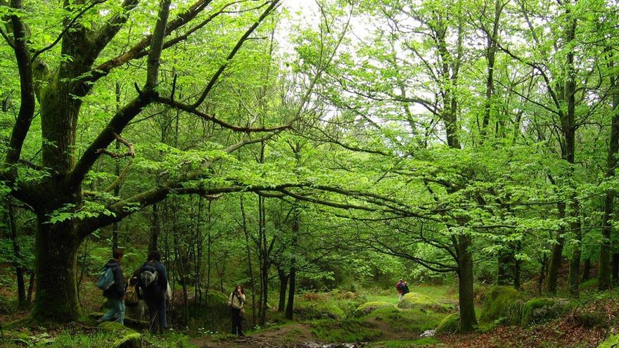 La reserva de Peneda-Gerês, un oasis lleno de cascadas y pozas en la frontera con Portugal