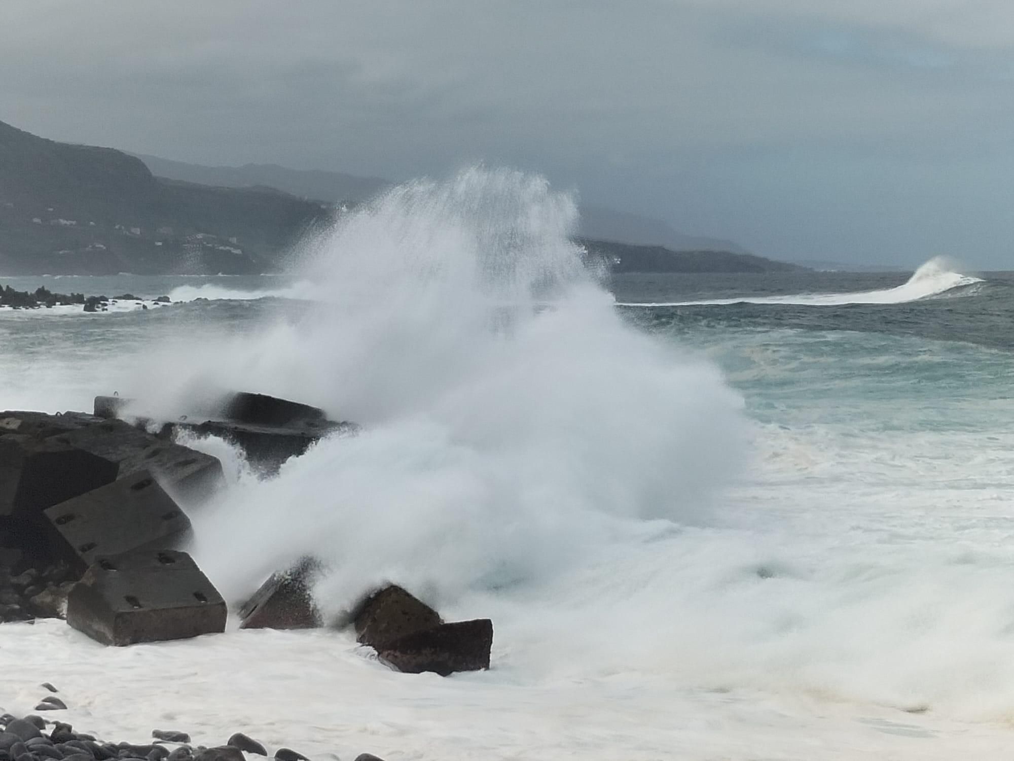 Puerto de la Cruz, 2026. Foto: Dámaso Pérez García