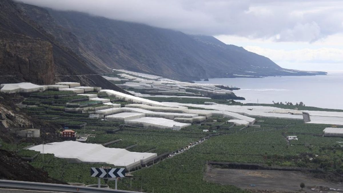 Puerto Naos: entre el humo y la realidad