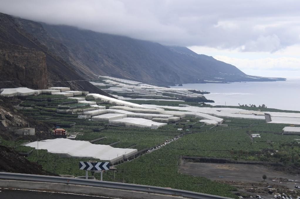 Vista general de la plataforma agrícola de Puerto Naos-El Remo. Foto: PLPP