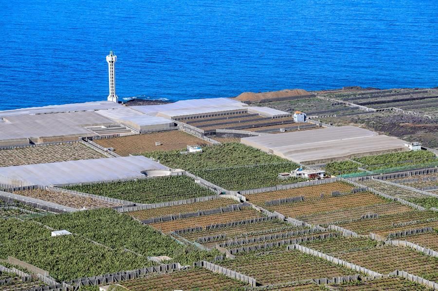 En la imagen, la zona norte de la comarca, sobre la fajana de Las Hoyas, donde se ha debido de plantar de nuevo. EFE / Luis G Morera