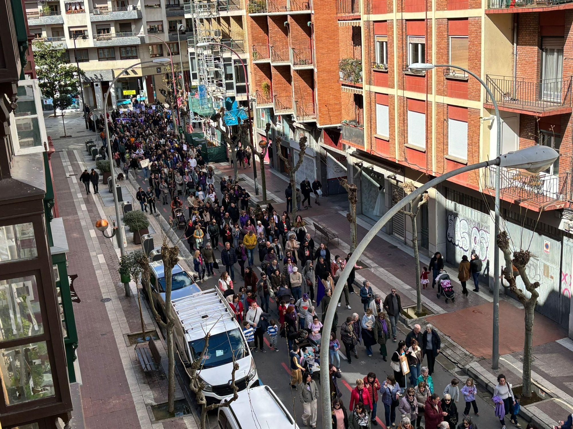 La manifestación de 8M en Logroño, en imágenes