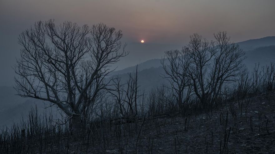 El peor año en superficie quemada en casi tres décadas: así evolucionan los incendios activos en España