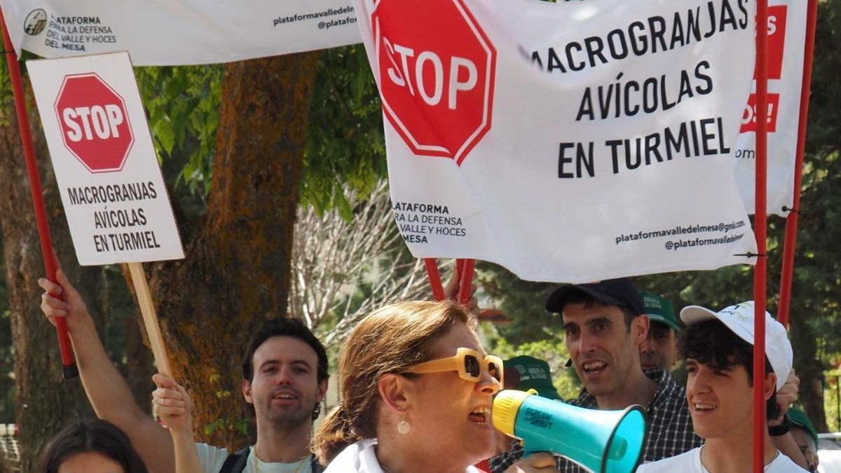 Manifestación contras las macrogranjas avícolas en Turmiel