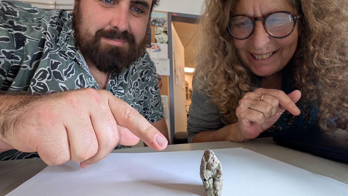 Descubren la representación más antigua de un humano con un animal: la estatuilla de una mujer con un ganso a hombros