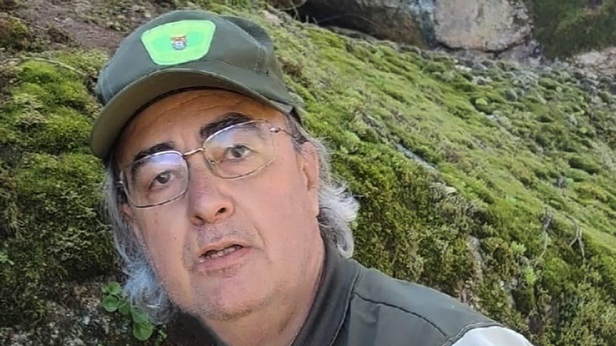 Rescatan a tres crías de lince ibérico tras el atropello de la madre en Navalmoral