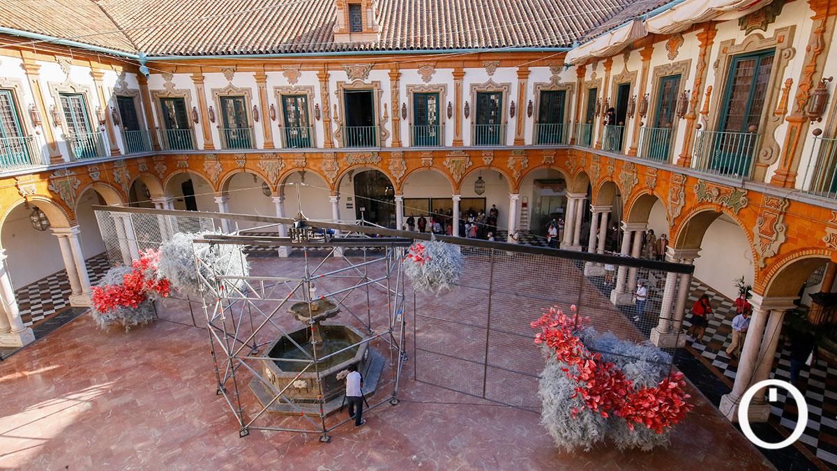 Instalación de Flora 2021 en la Diputación de Córdoba