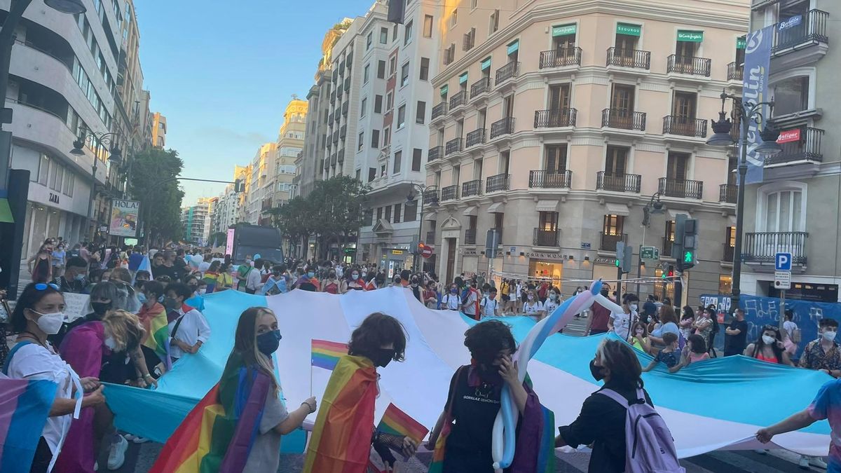 Manifestantes ondean una enorme bandera trans.