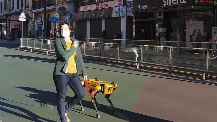 Perro robot de Boston Dynamics.