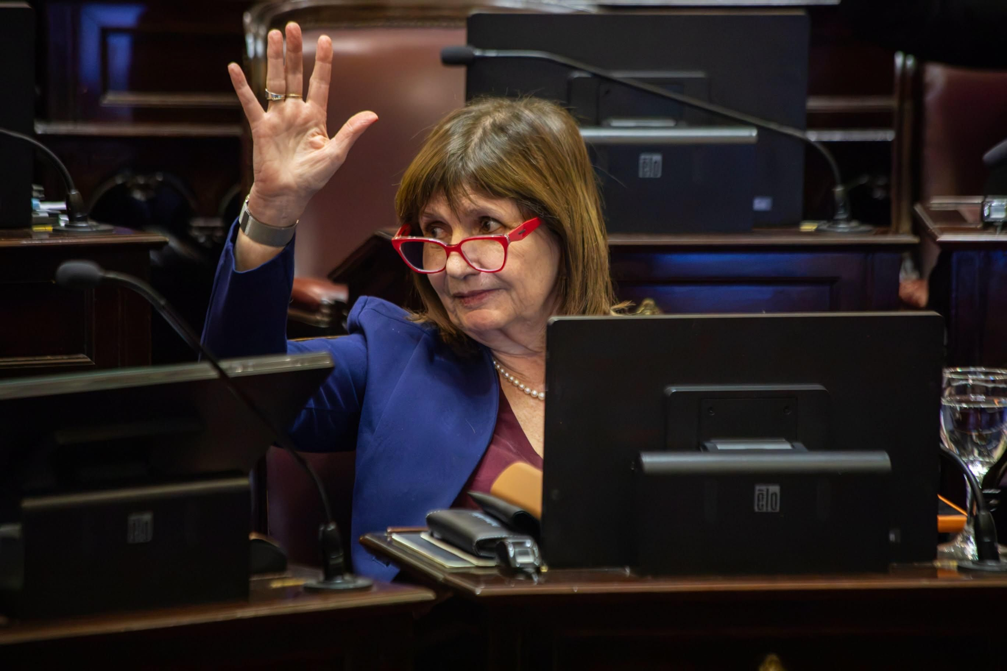 La presidenta del bloque de la Libertad Avanza, Patricia Bullrich, defendió el proyecto y sostuvo que la falta de confianza llevó a los ciudadanos a sacar sus ahorros en dólares del circuito formal.