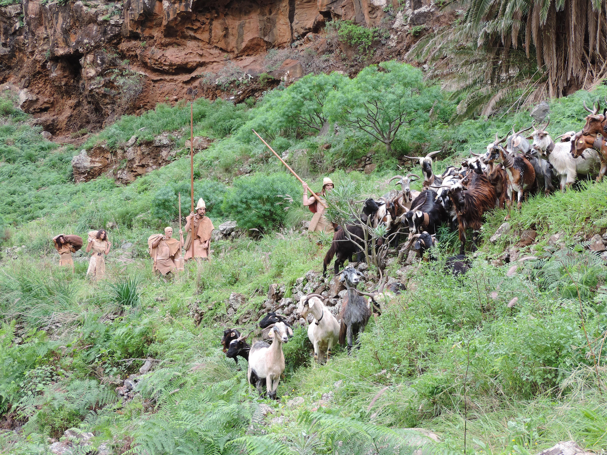 Recreación de una familia benahoarita trasladando su rebaño de cabras a una comarca de pastos.