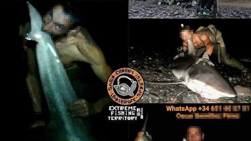 El organizador de las excursiones posa mordiendo la aleta de un tiburón