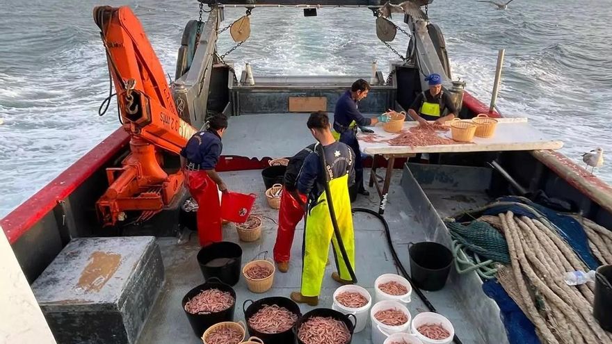 El artículo 'Qué baratas están las gambas' de elDiario.es Andalucía, premio de periodismo del sector pesquero andaluz