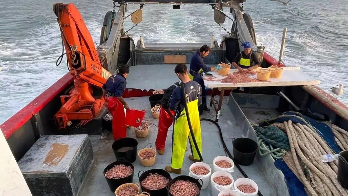 El artículo 'Qué baratas están las gambas' de elDiario.es Andalucía, premio de periodismo del sector pesquero andaluz