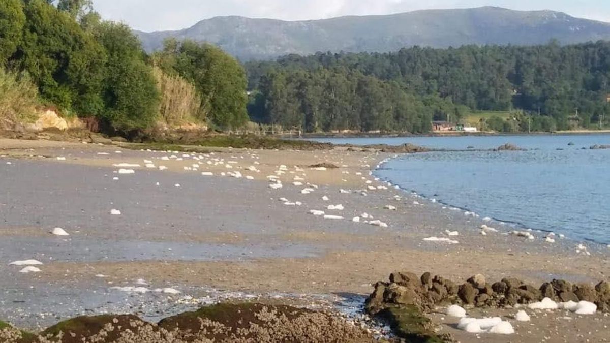 Restos de grasa y sosa cáustica en la Ría de Arousa | Plataforma en Defensa da Ría de Arousa