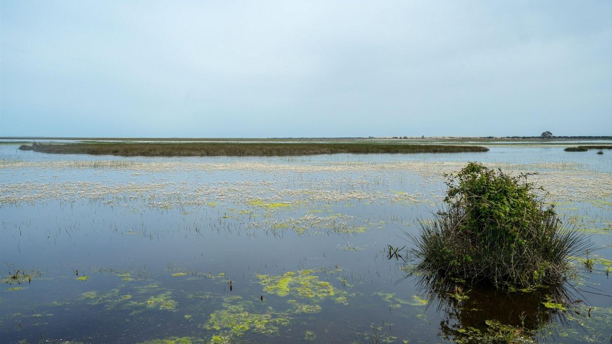 Corporación Tecnológica de Andalucía lidera un proyecto para la innovación sostenible en el entorno de Doñana