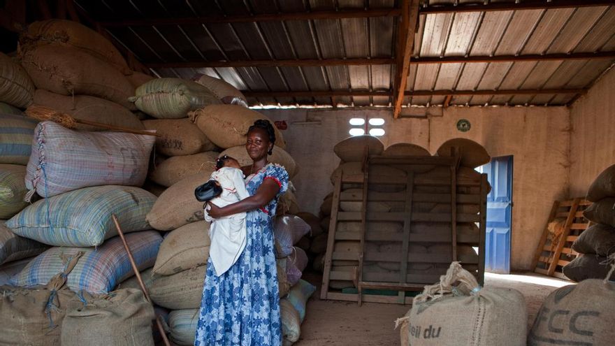 Costa de Marfil es uno de los mayores productores de cacao del mundo. El 25 por ciento de sus pequeños agricultores son mujeres. Foto Peter DiCampo / Intermón Oxfam.