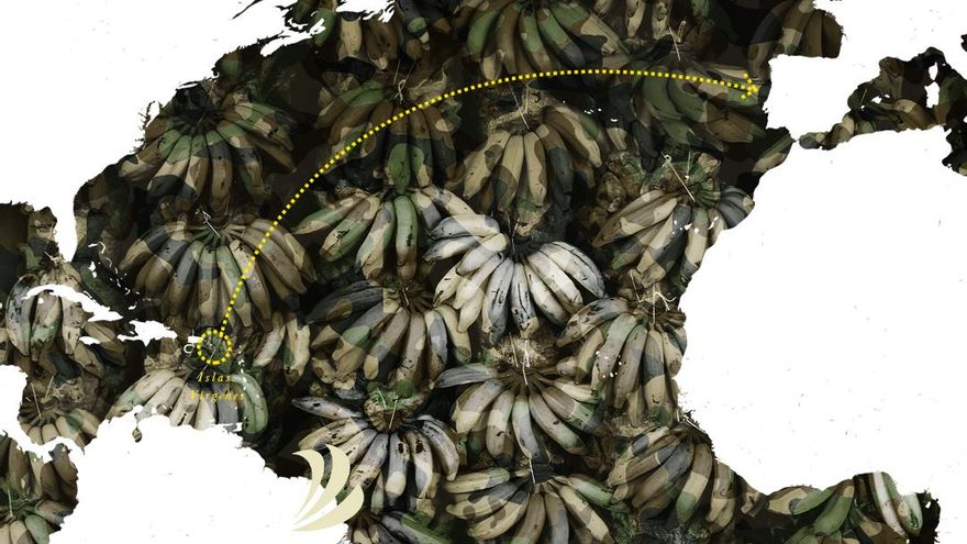 De Islas Vírgenes a Madrid: la mudanza de un imperio agrícola colombiano señalado por financiar a paramilitares