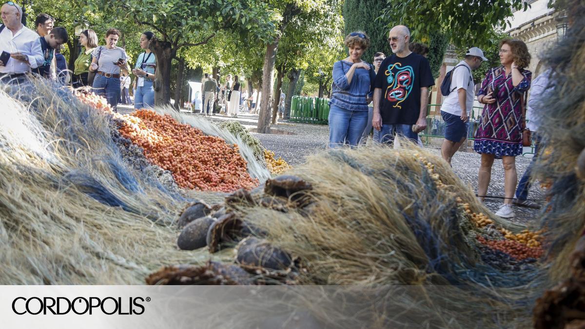 cordopolis.eldiario.es