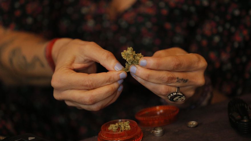 Fotografía fechada el 14 de diciembre de 2020 de la actriz, comunicadora y activista Francesca Brivio mientras enseña una muestra de cannabis durante una entrevista con Efe en Lima (Perú). EFE/Luis Angel Gonzales