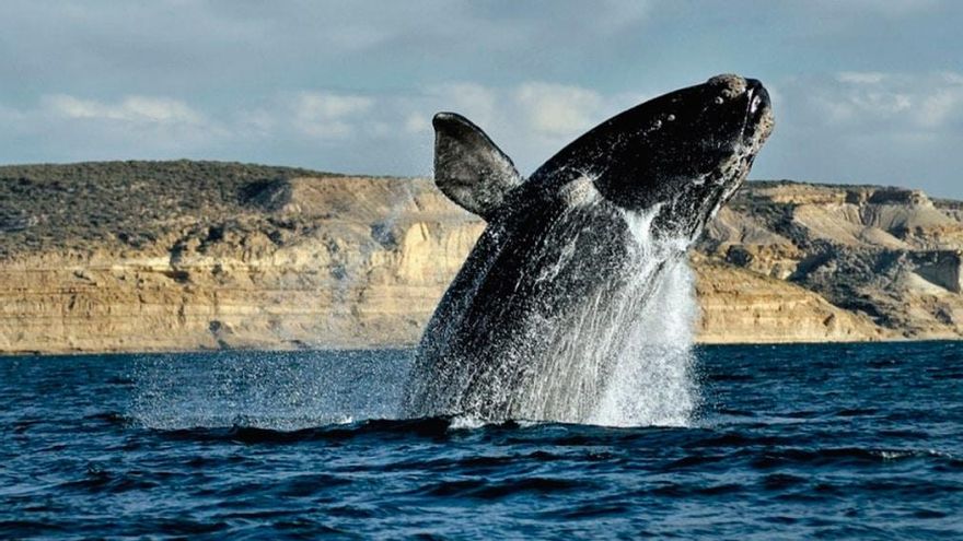 Puerto Pirámides se planta frente al oleoducto de YPF y reclama acciones a las autoridades de Chubut