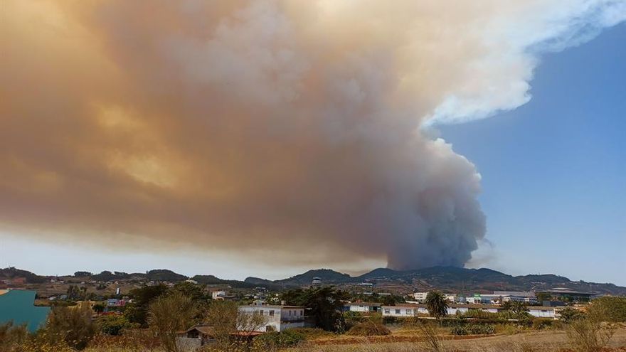 Columna de humo originada por el incendio vista desde La Laguna. EFE/ Jorge Morales