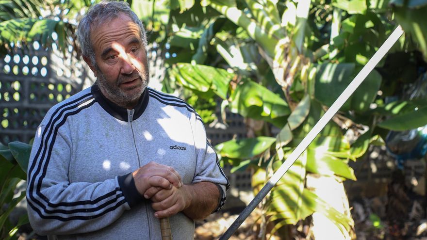 En la imagen, Francisco Navarro, gerente de una de las fincas  de plátanos en el litoral del Valle de Aridane, la zona más productiva de Canarias.