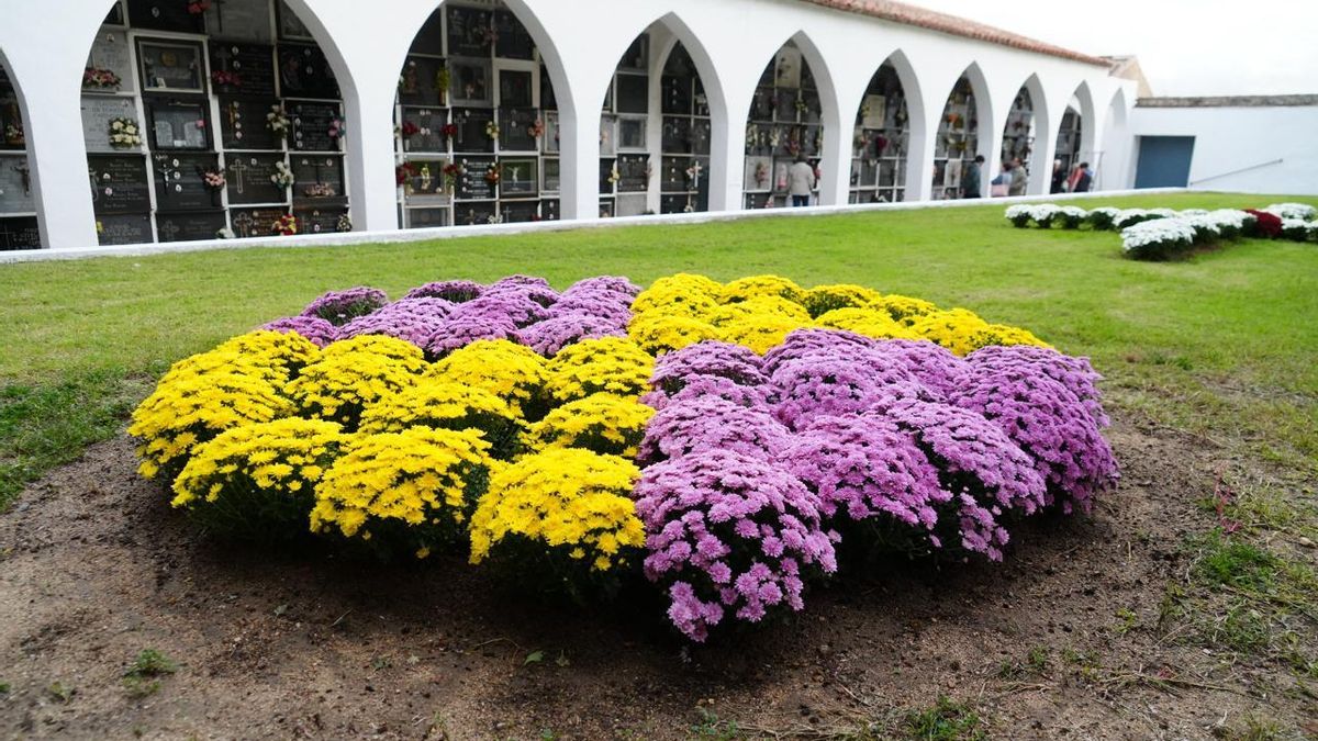 Cementerio de Pozoblanco en una imagen de archivo.