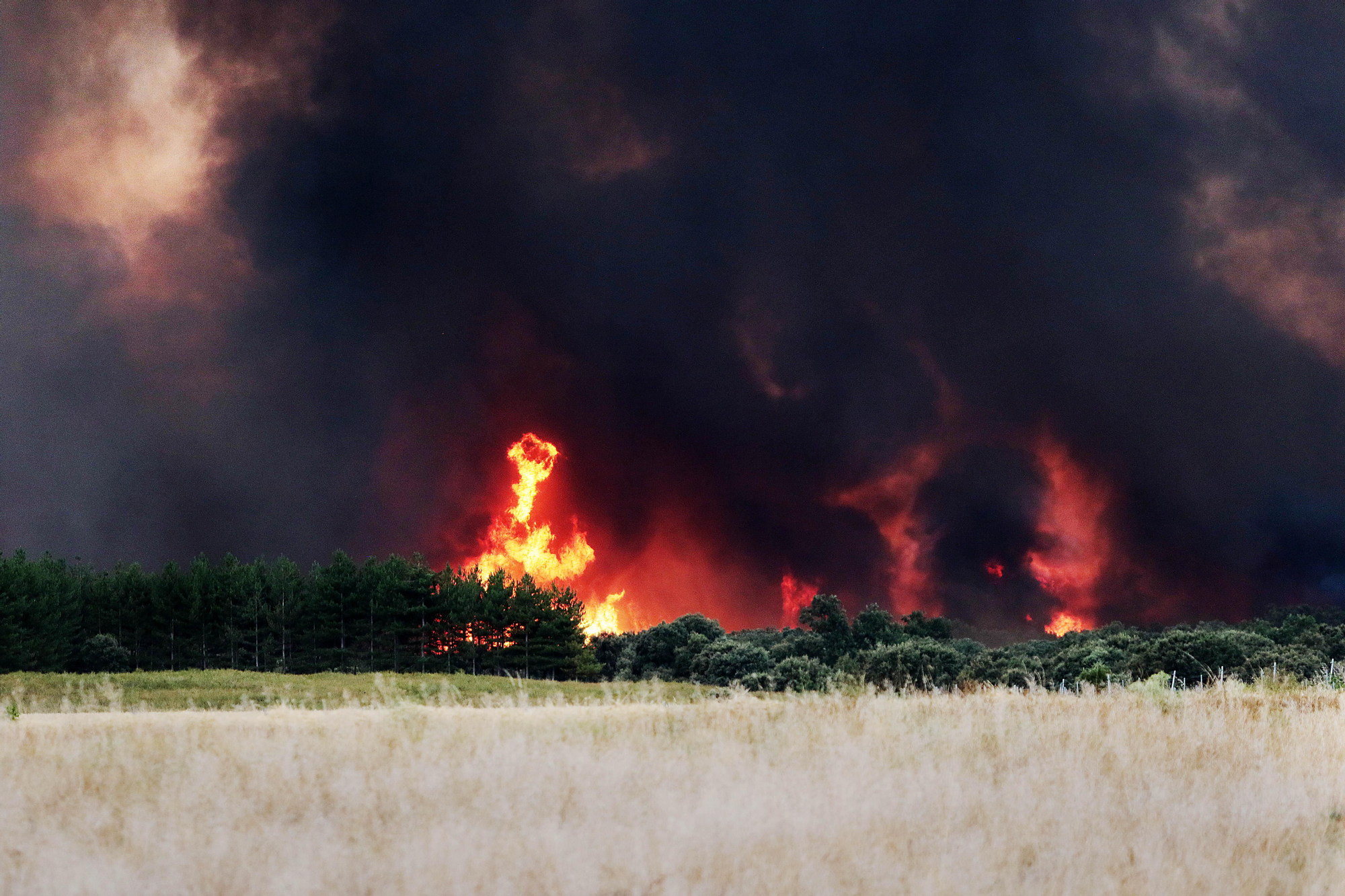 Immense tongues of fire in the front of the fire near Herreros de Jamuz.