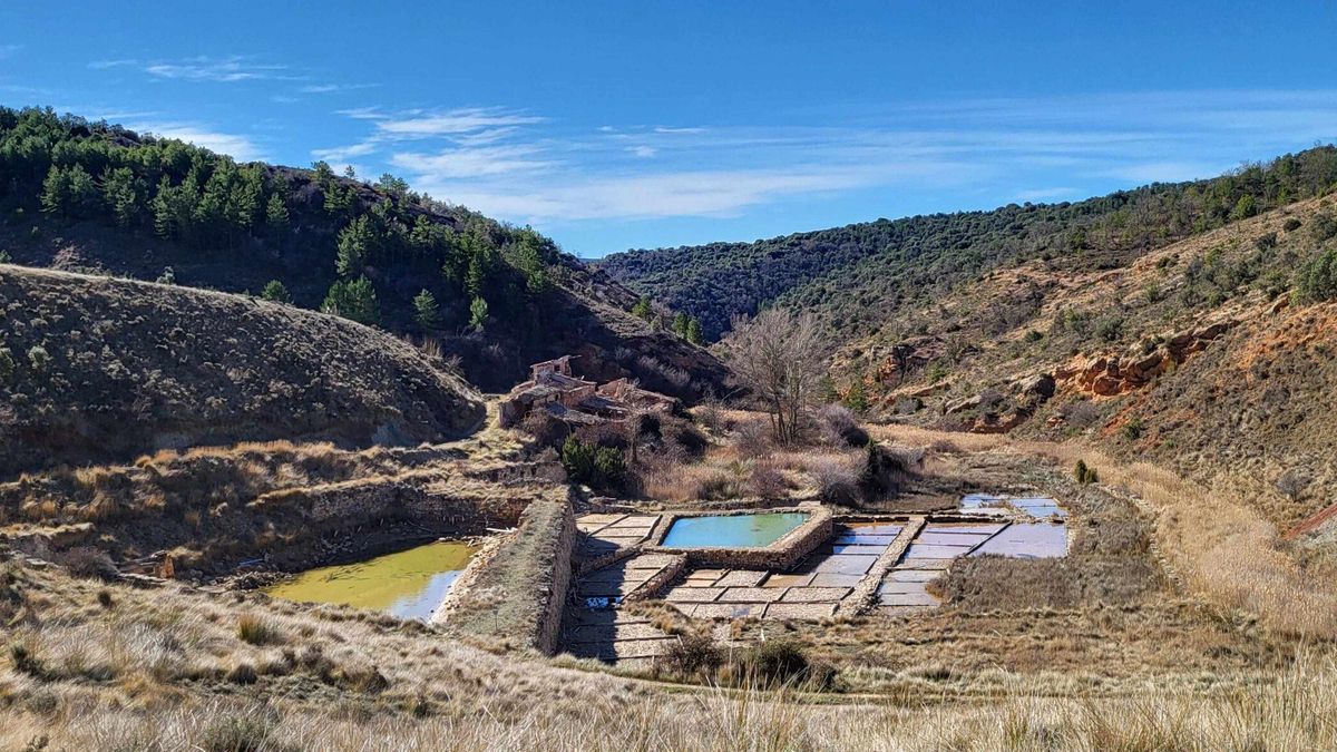 De motor económico a patrimonio en riesgo: las Salinas de Armillas, en peligro de desaparición