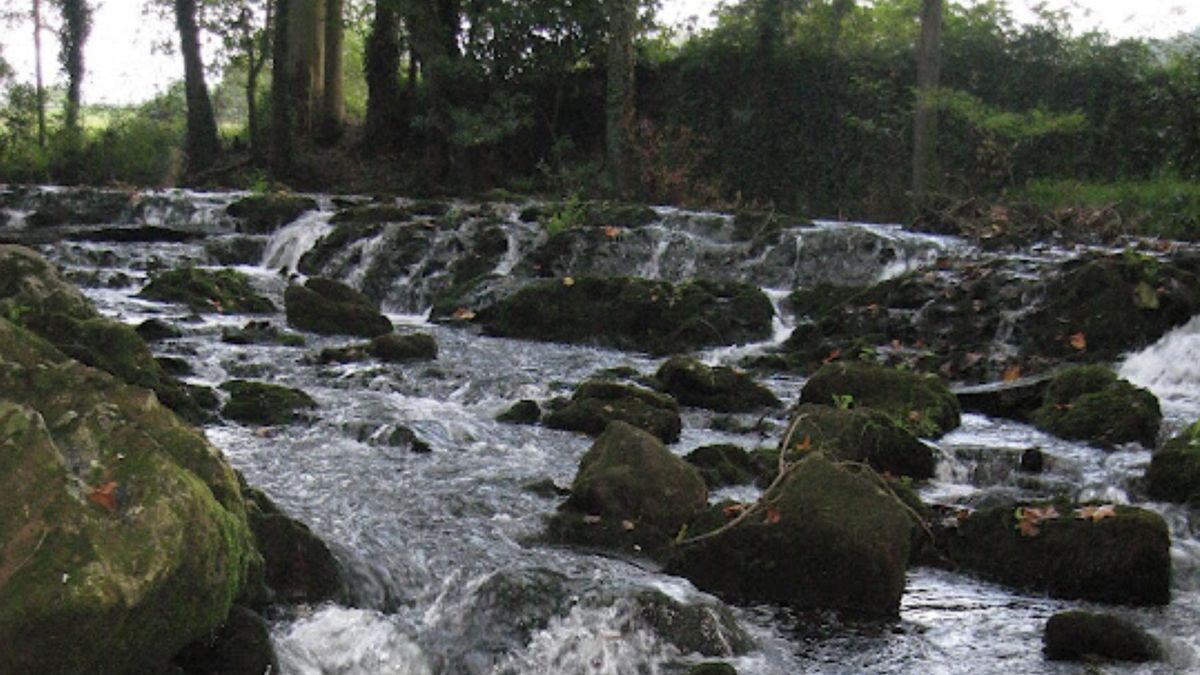 A 20 minutos de Santander: la ruta circular junto a un río que es perfecta para iniciarse en el senderismo