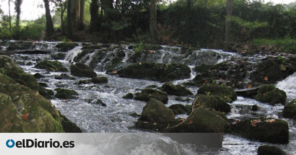 A 20 minutos de Santander: la ruta circular junto a un río que es perfecta para iniciarse en el senderismo