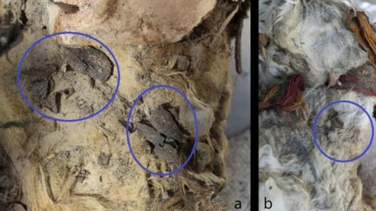 La arqueología permite revisar las crónicas sobre los sacrificios incas