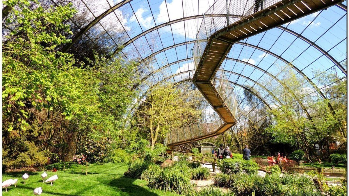 Edenya es el invernadero tropical más grande del mundo