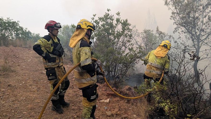 Las condiciones de trabajo de los bomberos forestales valencianos: "Nos jugamos la vida y no nos dan ni un euro por peligrosidad"