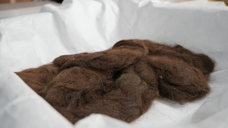 Patrimonio Cultural también estudiará el cabello de las indígenas Canarias